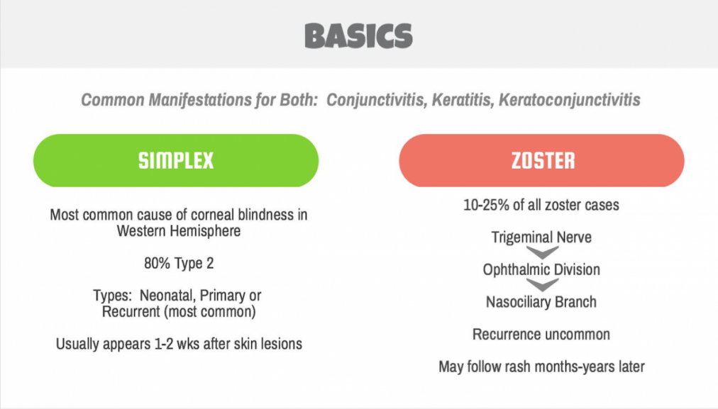 Back to Basics: Ocular Herpes Simplex vs Herpes Zoster Ophthalmicus
